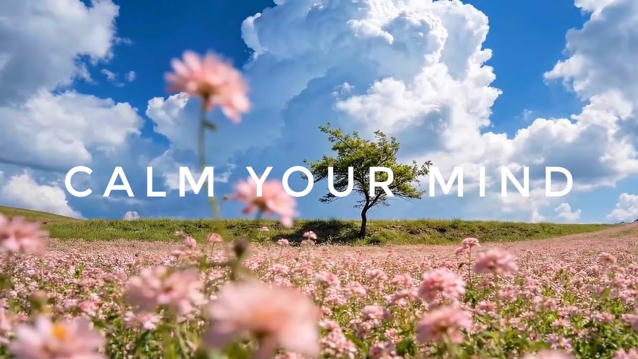 2 Hour Beautiful Flower Meadow Live Wallpaper 🌸 Calm Wind & Peaceful Sky | Relax, Sleep, Study