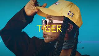 [FREE]Dancehall Pop Afrobeat  type beat | TIGER | Shenseea x Konshens x Vybz Kartel type beat 2024