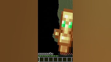 I made working void totems!  #gaming #minecraft #shorts #minecraftshorts