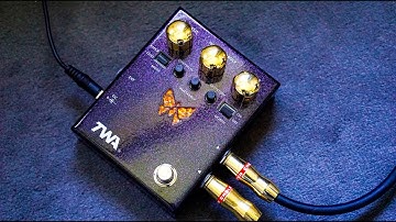 TWA - Dynamorph - Crazy Filter Fuzz Synth