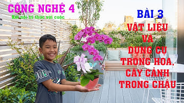 Công nghệ lớp 4 BÀI 3 VẬT LIỆU VÀ DỤNG CỤ TRỒNG HOA, CÂY CẢNH TRONG CHẬU Kết nối tri thức