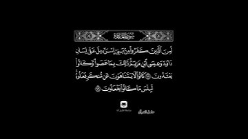 لعن الذين كفروا من بني إسرائيل على لسان داوود وعيسى ابن مريم #سورة_المائدة #خالد_الجليل #حامل_القرآن