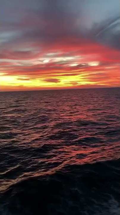 vacations 20210730 181124 0  ||  TikReels