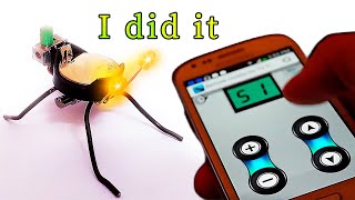 How to make a mini bug robot? TUTORIALS