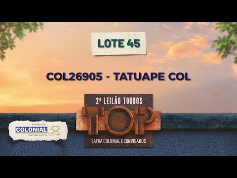 LOTE 45 COL 26905