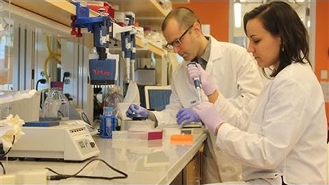 Could DNA Be the Future of Digital Storage?