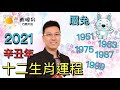 2021辛丑年流年運程 | 十二生肖 | 屬兔 1951 1963 1975 1987 1999 2011 | 昇Sir易學情玄 | 黃暐昇師傅