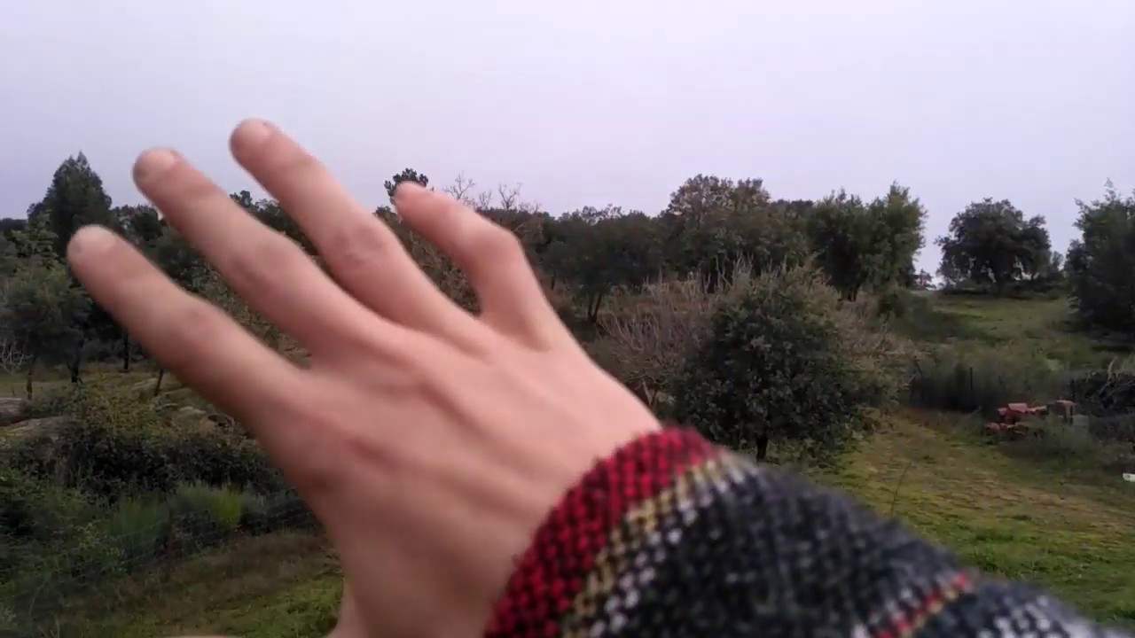 סיור בחוות ספירלה