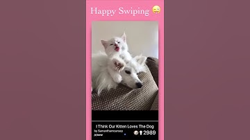 Comit for Reddit - App Preview