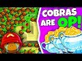 Bloons TD Battles | I Joined a RANDOM Tournament and WON?! | Cobras are OVERPOWERED!