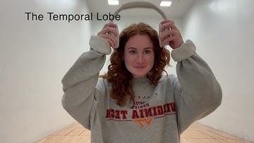 Lobe Fusion: The Mind Of A College Student Dance