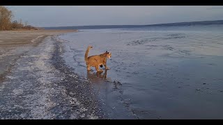 Messi slides on the first sea ice!