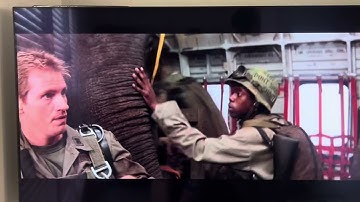 Operation Dumbo Drop: Pre-Drop Clip