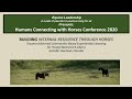 Humans Connecting with Horses Conference: BUILDING INTERNAL RESILIENCE THROUGH HORSES