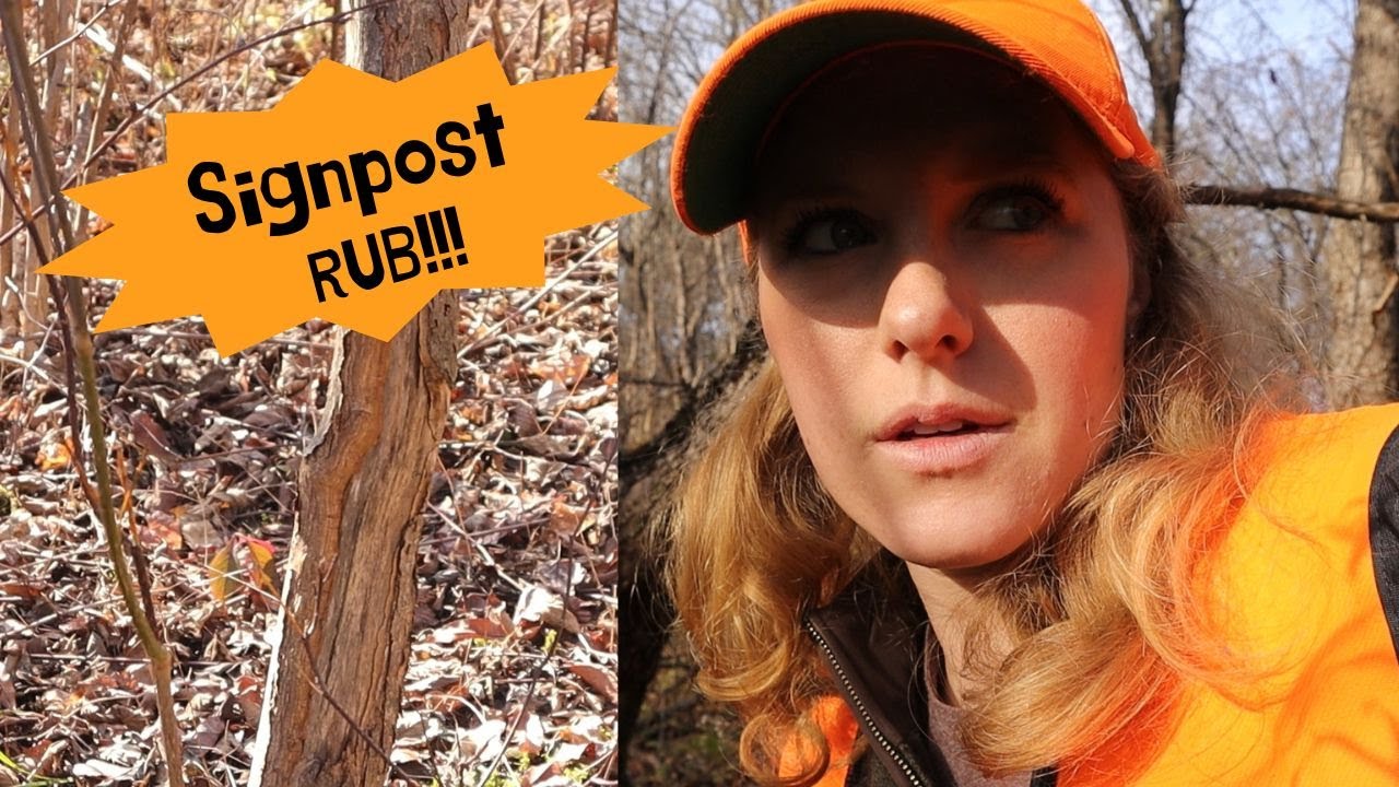 Maine Deer Hunting Monday Morning Hunt YouTube
