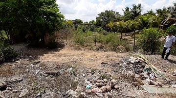 Bán đất mặt tiền quốc lộ N2.