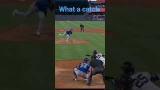 great catch #mlb #jaysnation #jays #torontobluejays #mlbhighlight #divingcatch #catcher #greatplays