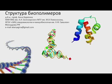 Анна Карягина-Жулина. Структура биополимеров