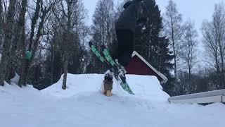 Backyard skiing 2018