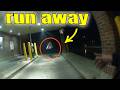 Bodycam Analysis: Walgreens Foot Pursuit and K9 Apprehension — Legal Breakdown