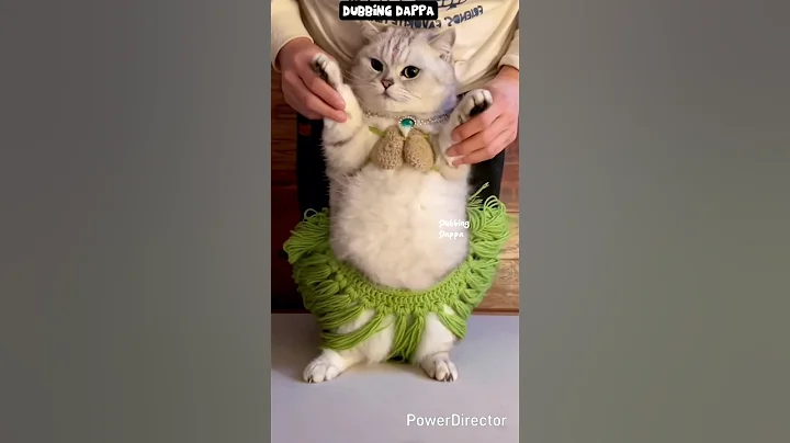 Watch the video about Poona Ponnambalam 🤣 #funny #cat #shorts #dog #shortsfeed #animals #dubbingdappa #catlover #doglover