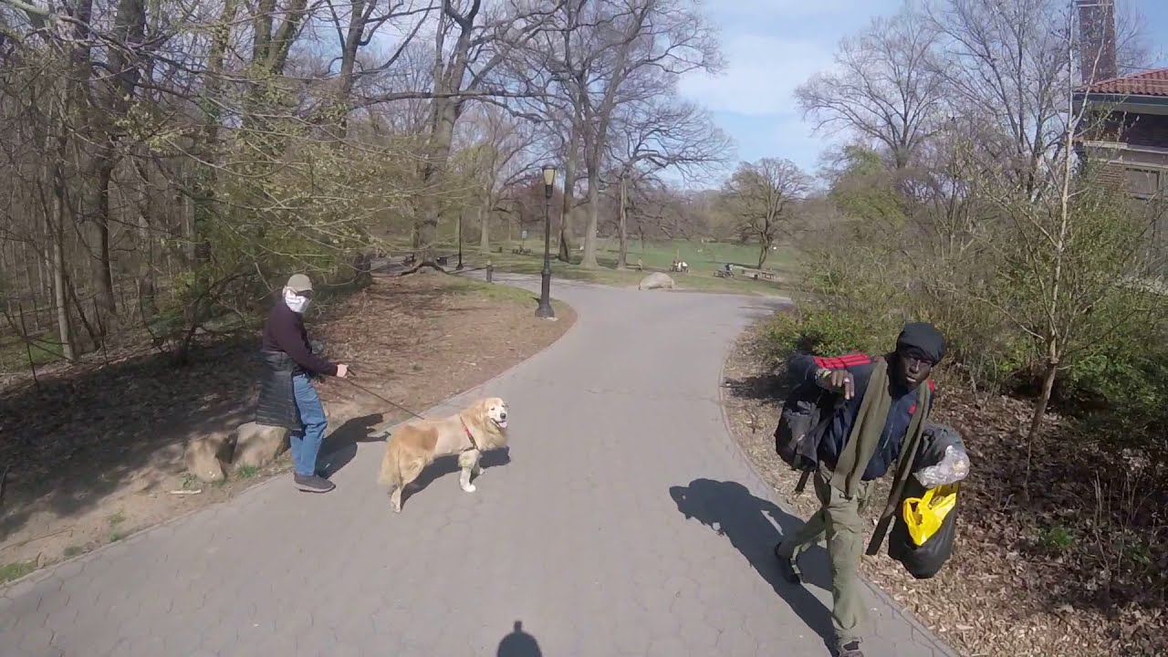 Prospect Park to Parkside Ave/Ocean Ave, Brooklyn Biking NYC pov
