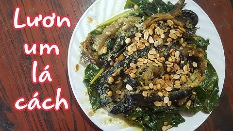 Lươn um lá cách, nước cốt dừa #Châu Phước Nhi Vlog