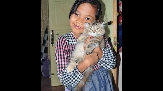 Ki Suleman noroyono jumeneng ratu 04 xvid