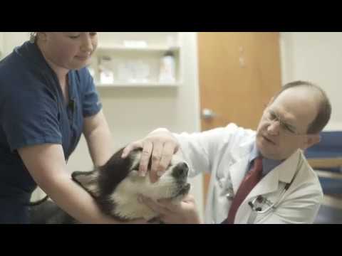 Cherokee Trail Veterinary Hospital - Lexington, SC