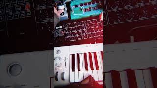 Dark, klicky ambi-drones. Behringer PRO-800 w/ Line 6 DL-4, Zoom MS-50G & M-Vave Mini Universe.