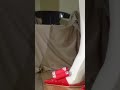 Light Tapping in Shiny Red Bow Shoes ♥️ Rhythm and Sound