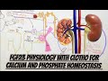 FGF23/CLOTHO For Calcium/Phosphate Homeostasis Physiology