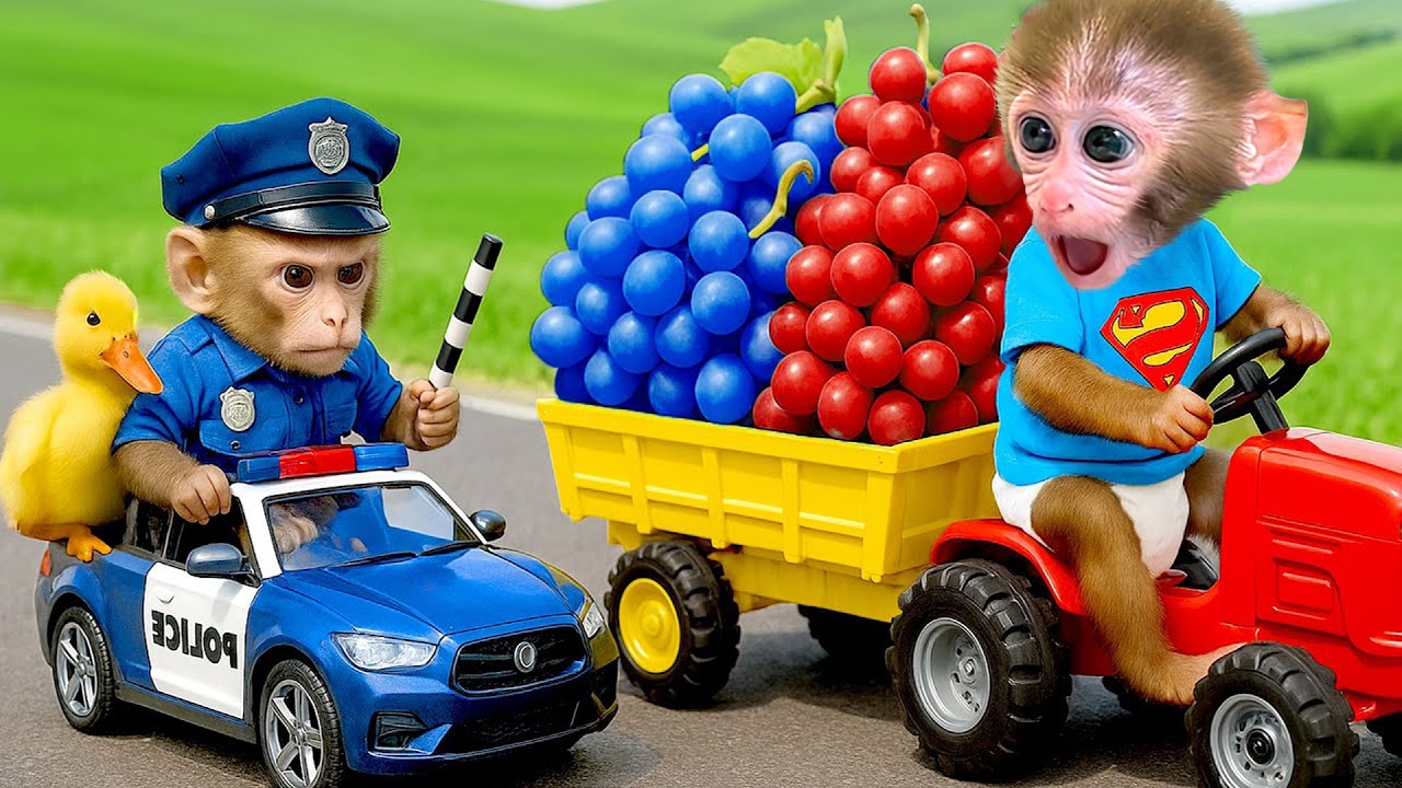 Mono BonBon y la persecución súper emocionante con el mono policía y el patito