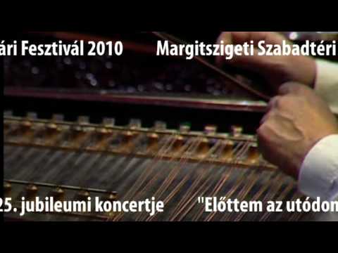 100 Tag Cignyzenekar