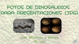 Dinosaurios, fotos para presentaciones, fondos y videos