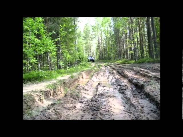 Шнива на Медведях Я 569