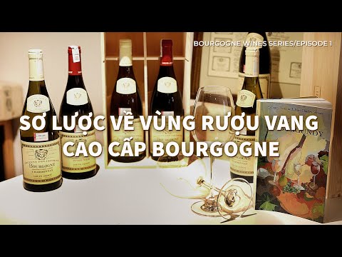 Video: Beaune và Vùng rượu vang Burgundy của Pháp