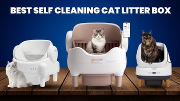 Top 5 Best Automatic Self-Cleaning Cat Litter Boxes (2025 Review) 🐱 | Save Time & Eliminate Odor!