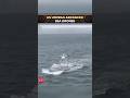 US Navy showcases advanced sea drones during NATO drill in the Baltic Sea