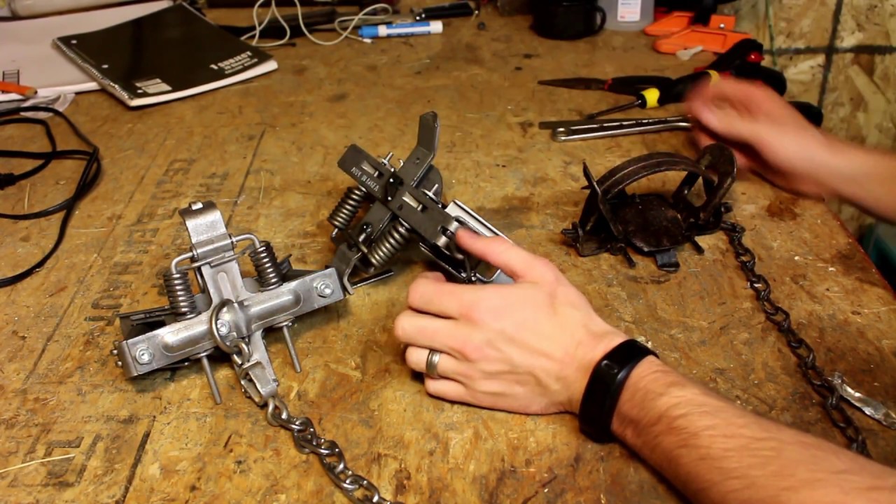 Coyote Traps I Recommend