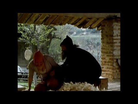 \"ნატვრის ხე\" - \"დავდნი ღორი ქონივითა\" (natvris xe)