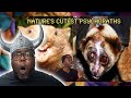 Cute Animals But They Slowly Get Worse For Your Health | Casual Geographic