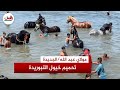 حماية واستجمام.. طقوس تحميم خيول التبوريدة استعدادا لعروض موسم مولاي عبد الله