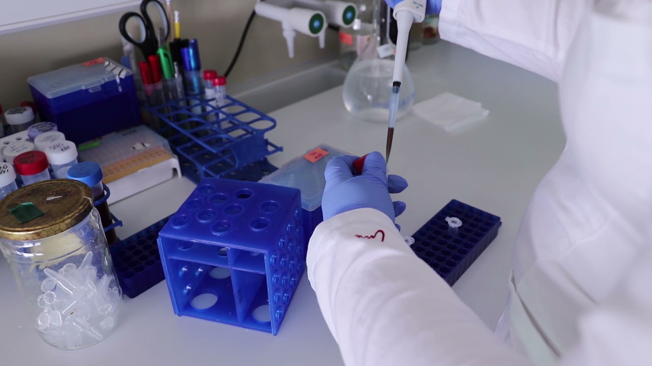 Otvoreni dan Odjela za biotehnologiju - PROMO