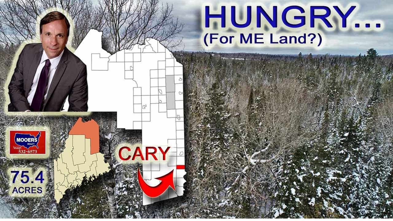 Maine Land Woodlot 75 Acres Maine Real Estate YouTube