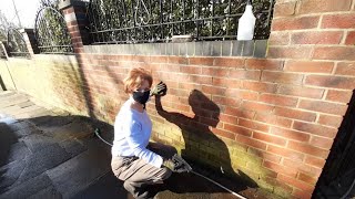 How I removed the green stain from my brick wall