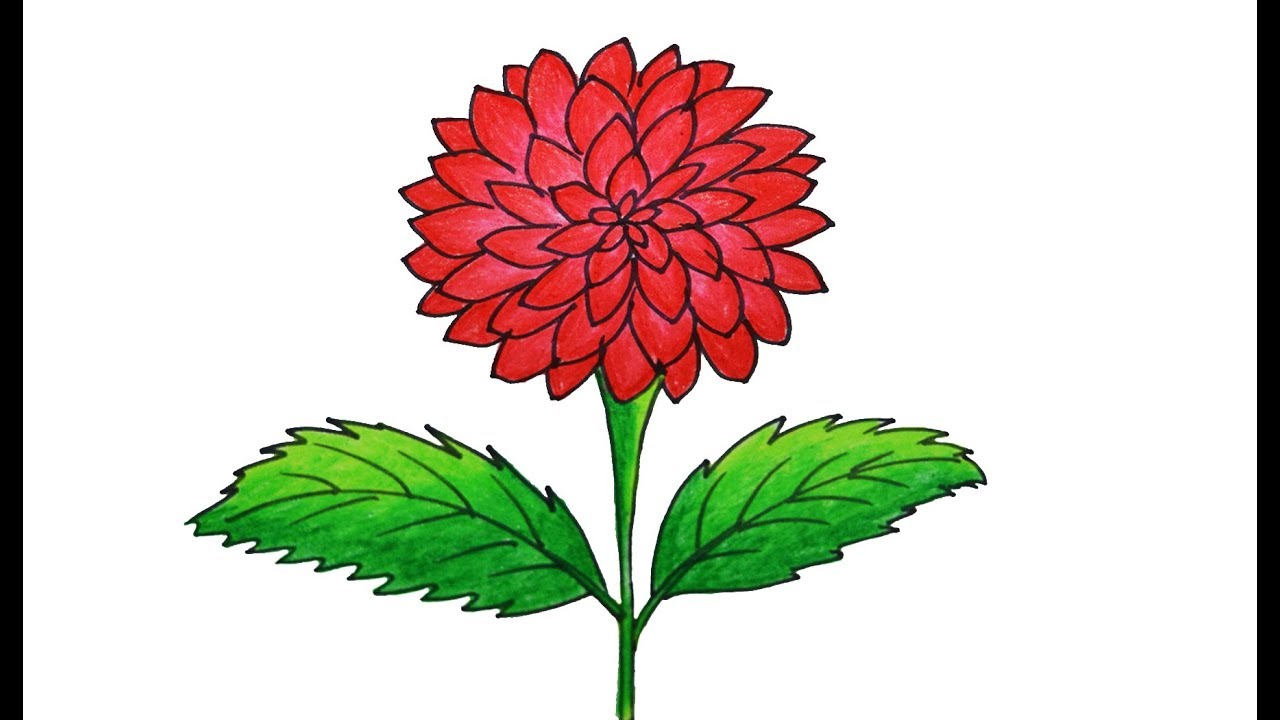 Dahlia Flower Drawing very easy and simple, how to draw dahlia - YouTube