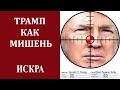 В.Овчинский: О политическом и физическом покушениях на 45-го президента США