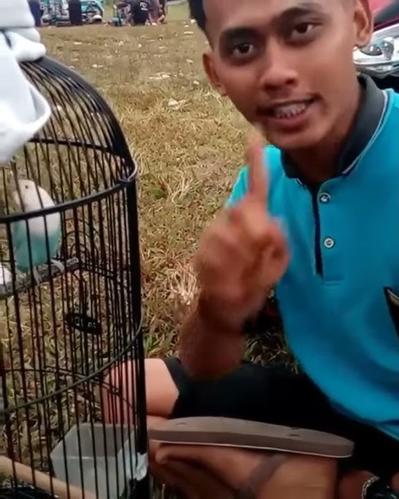 Gaji 30 juta Kerja Menghayal.. Lucu Banget