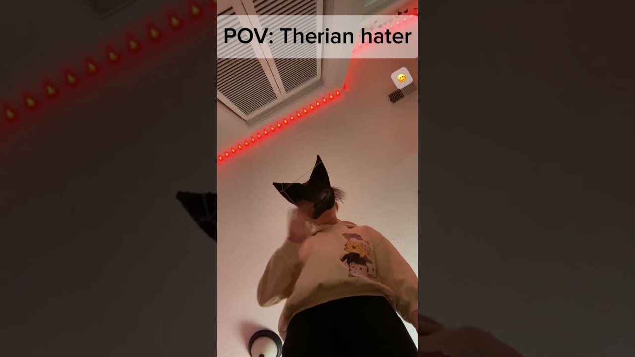 POV Therian Hater Pov Haters Funny